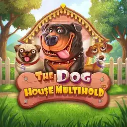 The Dog House Multihold game at Hell Spin Casino for Australia players